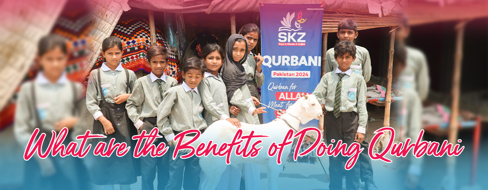 What Are The Benefits Of Doing Qurbani?